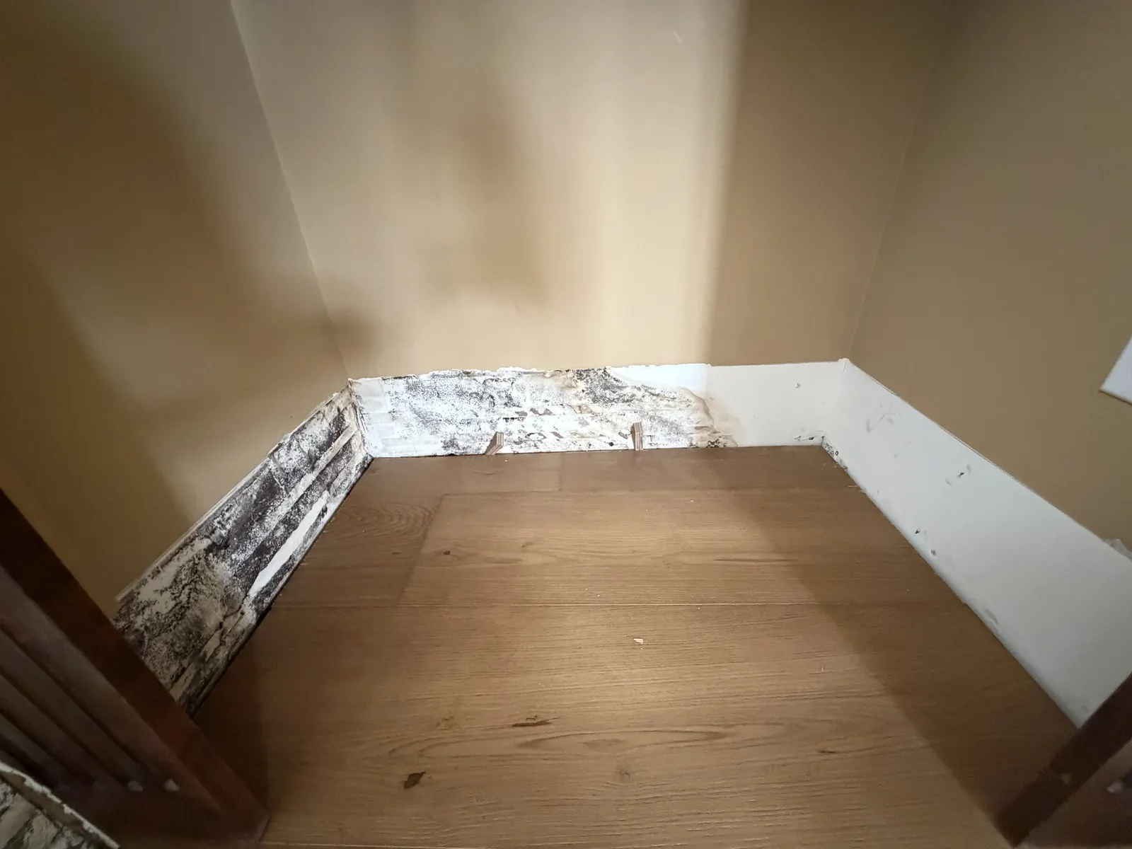 Before baseboard mold remediation Orange County CA